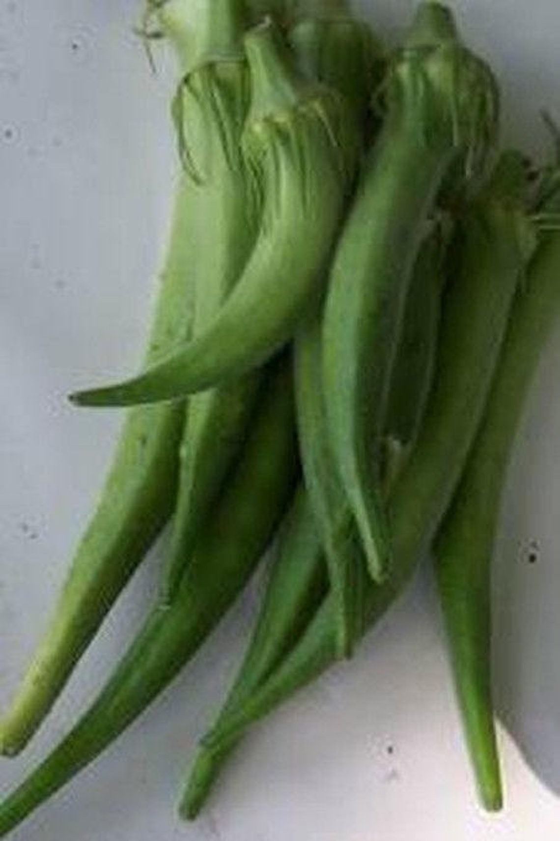 Emerald Green Okra Seeds Etsy