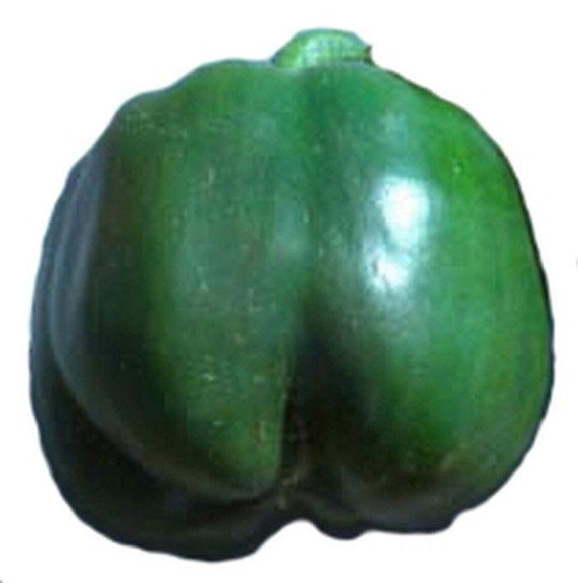 Jupiter Sweet Bell Pepper Seeds Etsy