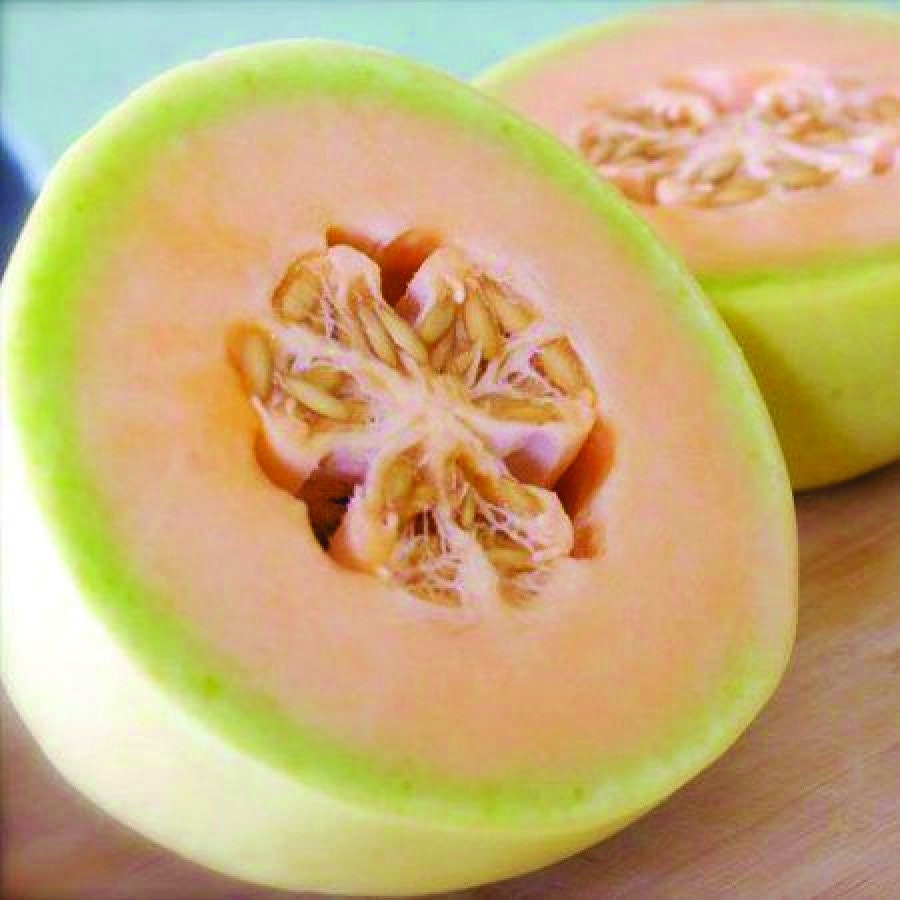 200 Organic Orange Flesh Honeydew Melon Seeds USA Seller Non GMO Harvested in USA