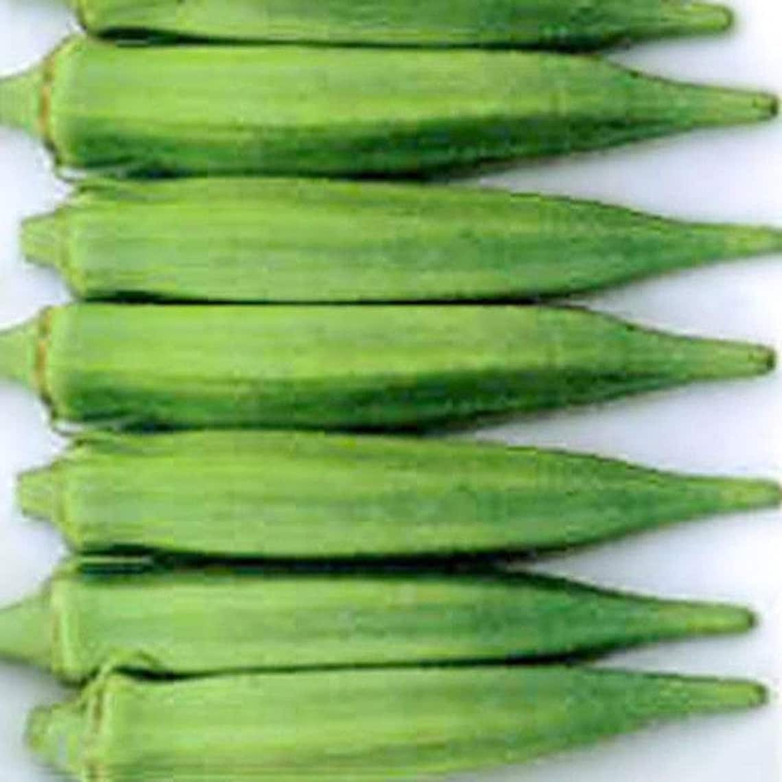 Emerald Green Okra Seeds Etsy