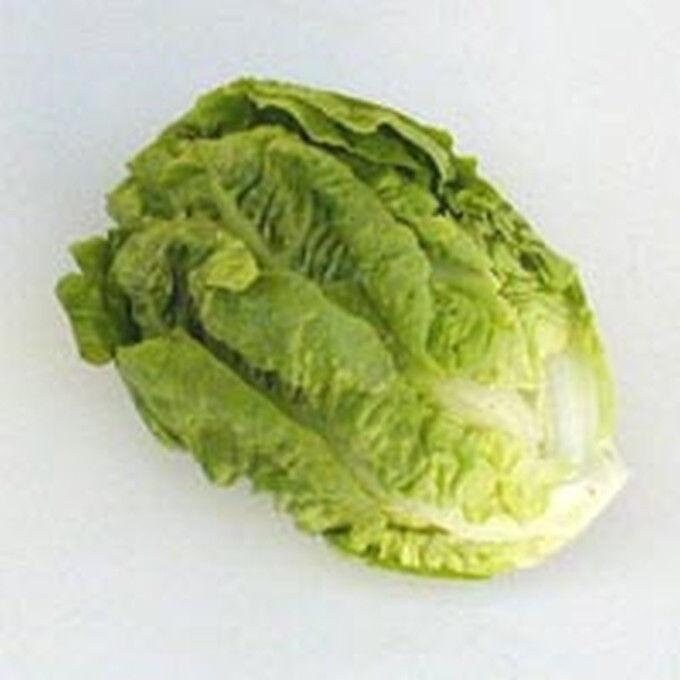 Little Gem Butterhead Lettuce Seeds Etsy