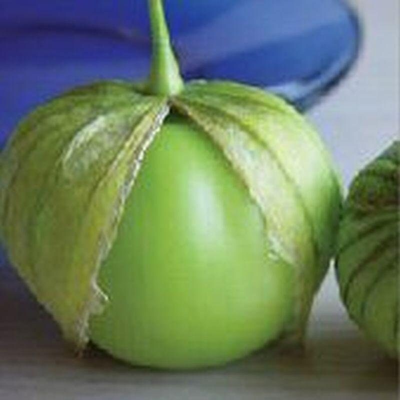 Giant Tomatillo Seeds Etsy