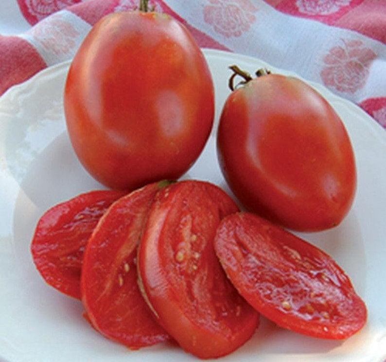 Amish Paste Tomato
