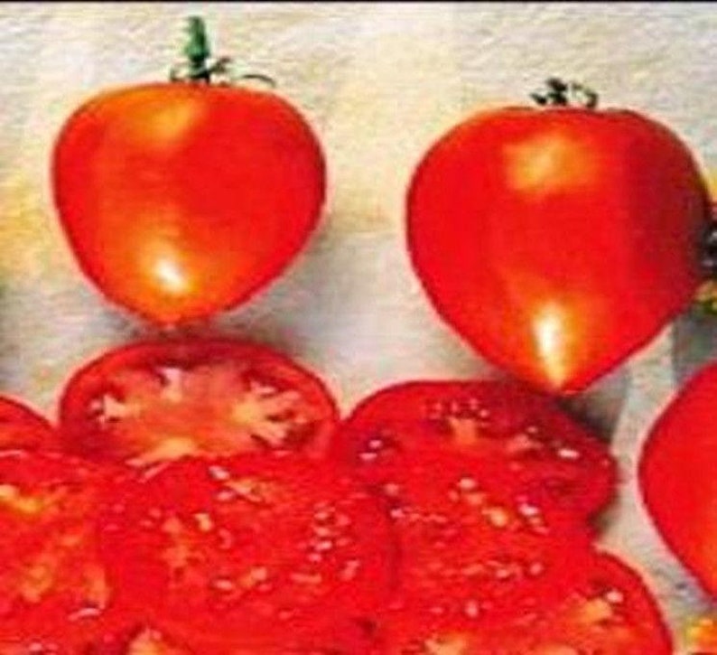 Amish Paste Tomato