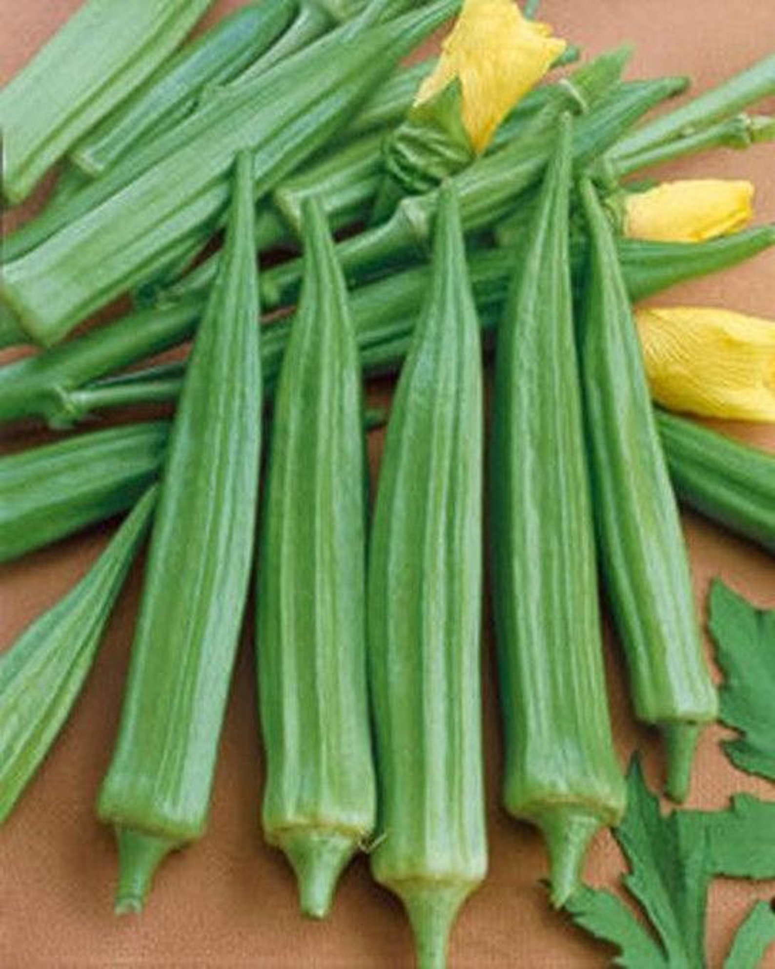 Cajun Delight Hybrid Okra Seeds Etsy Singapore