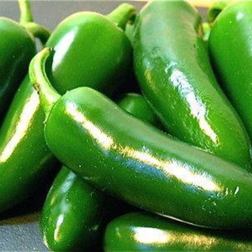 Giant Jalapeno Pepper Seeds Etsy