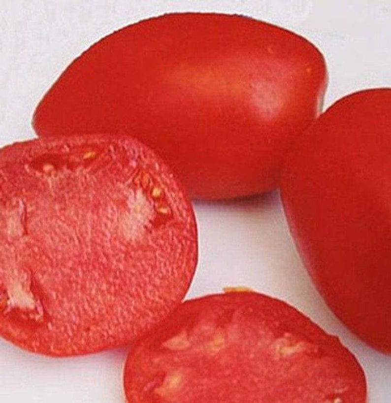 Amish Paste Tomato