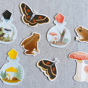 Stickers terrariums crapauds champignons et mites flocons