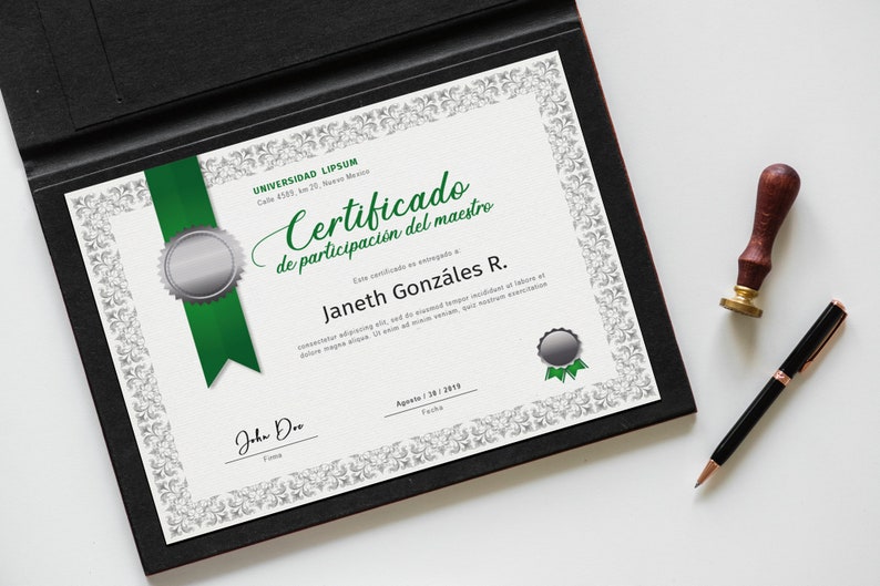 May include: A white certificate with a green ribbon and seal, framed in black. The certificate reads "Certificado de participaci&oacute;n del maestro" and is awarded to "Janeth Gonz&aacute;les R." The date is August 30, 2019.