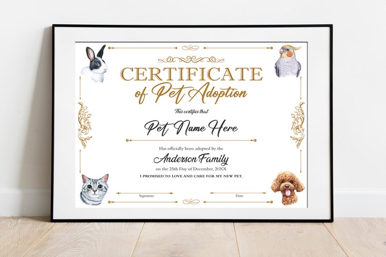 Certificate of Pet Adoption Cat Dog Animal Certificate Etsy