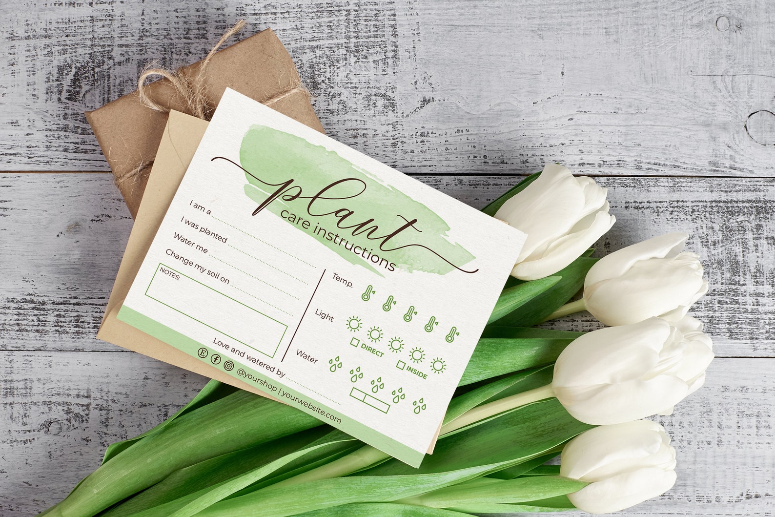 Editable Plant Care Card Digital Care Instructions for Plant Etsy