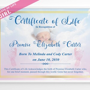 Editable Certificate of Life GIRL, Baby Loss Printable