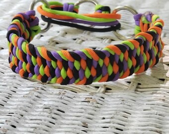 Trilobite Collar