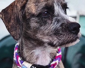 Chevron Sinnet Dog Collar: Braided, Custom Color
