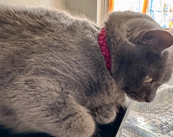 Celtic Cat Collar