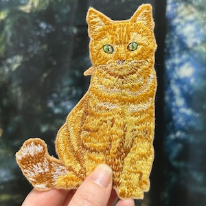 May include: Embroidered patch featuring an orange tabby cat with green eyes. The cat is depicted in a sitting position with detailed stitching. The patch is held up against a blurred background.
