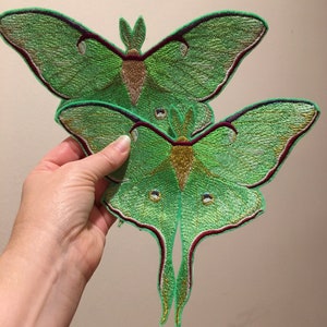May include: Two green embroidered luna moth patches with gold and red accents. The patches are held in a hand.