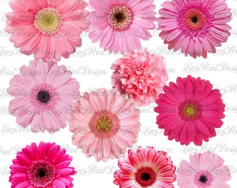 Pink Daisy Flowers Etsy
