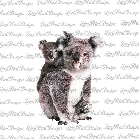 Koala Oso Mama Y Bebe Acuarela Clipart Graficos De Etsy