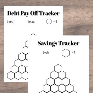Debt & Savings Tracker