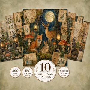Papel digital, papeles de collage de criaturas del bosque, páginas de diario de animales del bosque, papel digital de zorro, ciervo, conejo y búho, JPG de efímeros