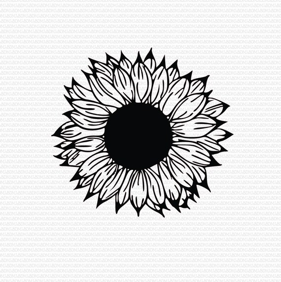 Free Free 79 Clipart Sunflower Jpg SVG PNG EPS DXF File