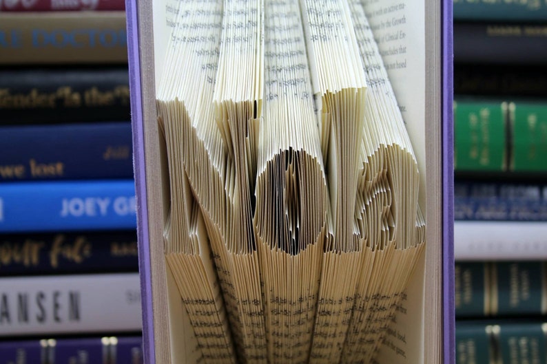 Puede incluir: Un libro con la palabra "NOLA" doblada en las p&aacute;ginas. El libro es morado y est&aacute; de pie en una estanter&iacute;a.