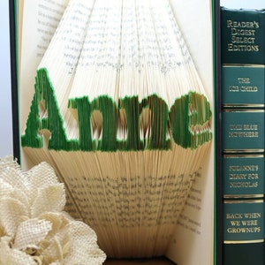 Puede incluir: Un libro doblado en forma del nombre "Anne" en letras verdes. El libro est&aacute; de pie sobre una mesa con otros dos libros detr&aacute;s. Los libros detr&aacute;s son verdes con letras doradas y t&iacute;tulos como "The Ice Child", "The Blue Nowhere", "The Snow Falcon", "Terminal Event", "Back When We Were Grownups" y "Liberty Falling".