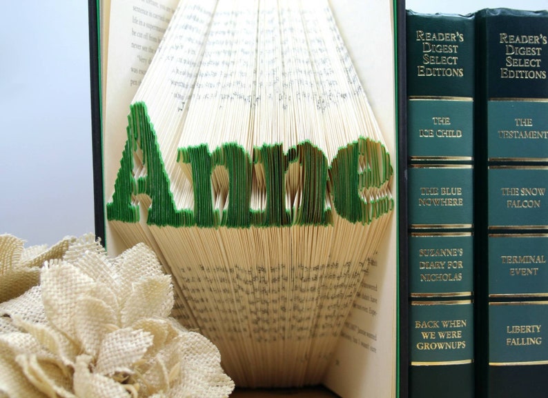 Puede incluir: Un libro doblado en forma del nombre "Anne" en letras verdes. El libro est&aacute; de pie sobre una mesa con otros dos libros detr&aacute;s. Los libros detr&aacute;s son verdes con letras doradas y t&iacute;tulos como "The Ice Child", "The Blue Nowhere", "The Snow Falcon", "Terminal Event", "Back When We Were Grownups" y "Liberty Falling".