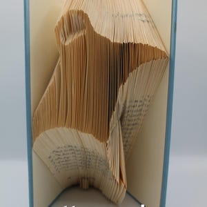May include: An open book with pages folded to create a three-dimensional design. The book has a light blue cover and the text "pattern only" is visible. The pages are a light tan color.