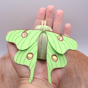 Book page lunar moth - moth home decor - book art