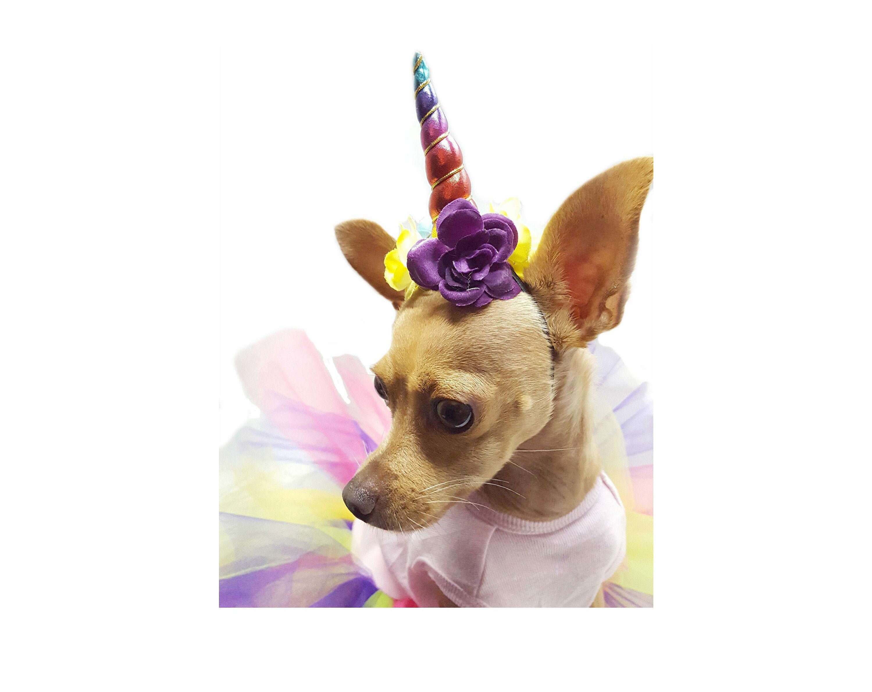 Unicorn Dog Halloween Costume for small to large dogs Dog Etsy