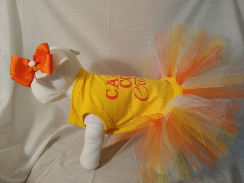 Candy Corn Cutie Halloween Costume for small to large dogs Etsy