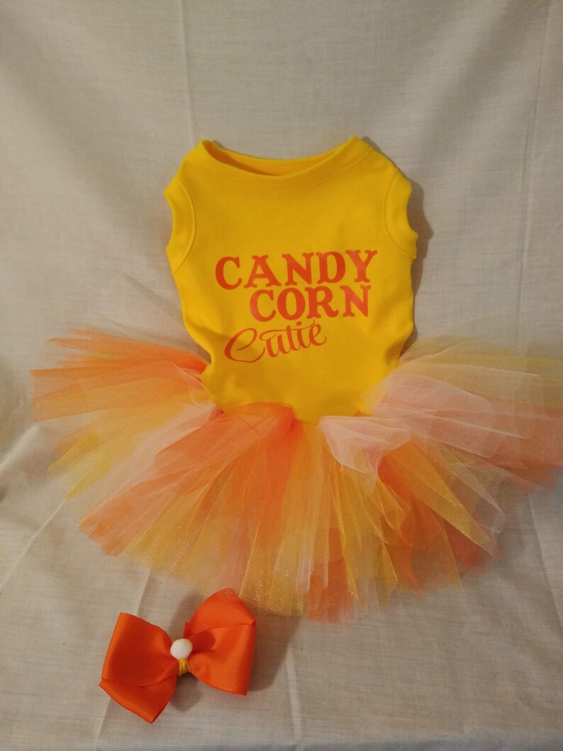 Candy Corn Cutie Halloween Costume for small to large dogs Etsy
