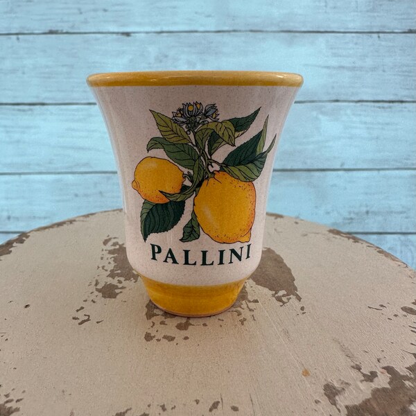 Deruta Limoncello Glasses Etsy