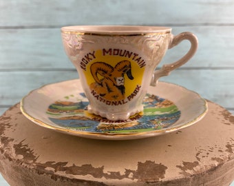 Vintage Rocky Mountain National Park Teacup and Saucer