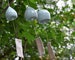 Ceramic Wind Chimes | Indoor and Ourdoor Wind Chime | Memorial Wind Bell 