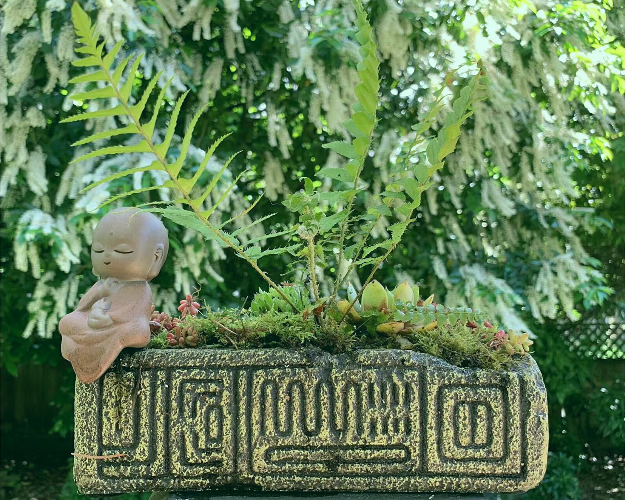 Concrete Bonsai Pot Rectangle Concrete Planter Unique Etsy