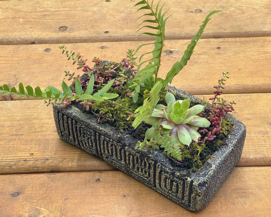 Concrete Bonsai Pot Rectangle Concrete Planter Unique Etsy