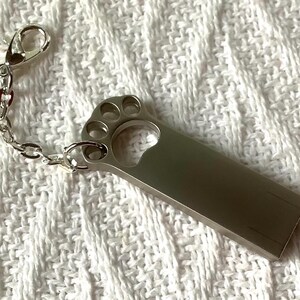 May include: A silver USB flash drive with a paw print design, attached to a chain and clasp. The drive is rectangular with a smooth, metallic finish. The paw print has four circular cutouts for the toes and a larger cutout for the pad.