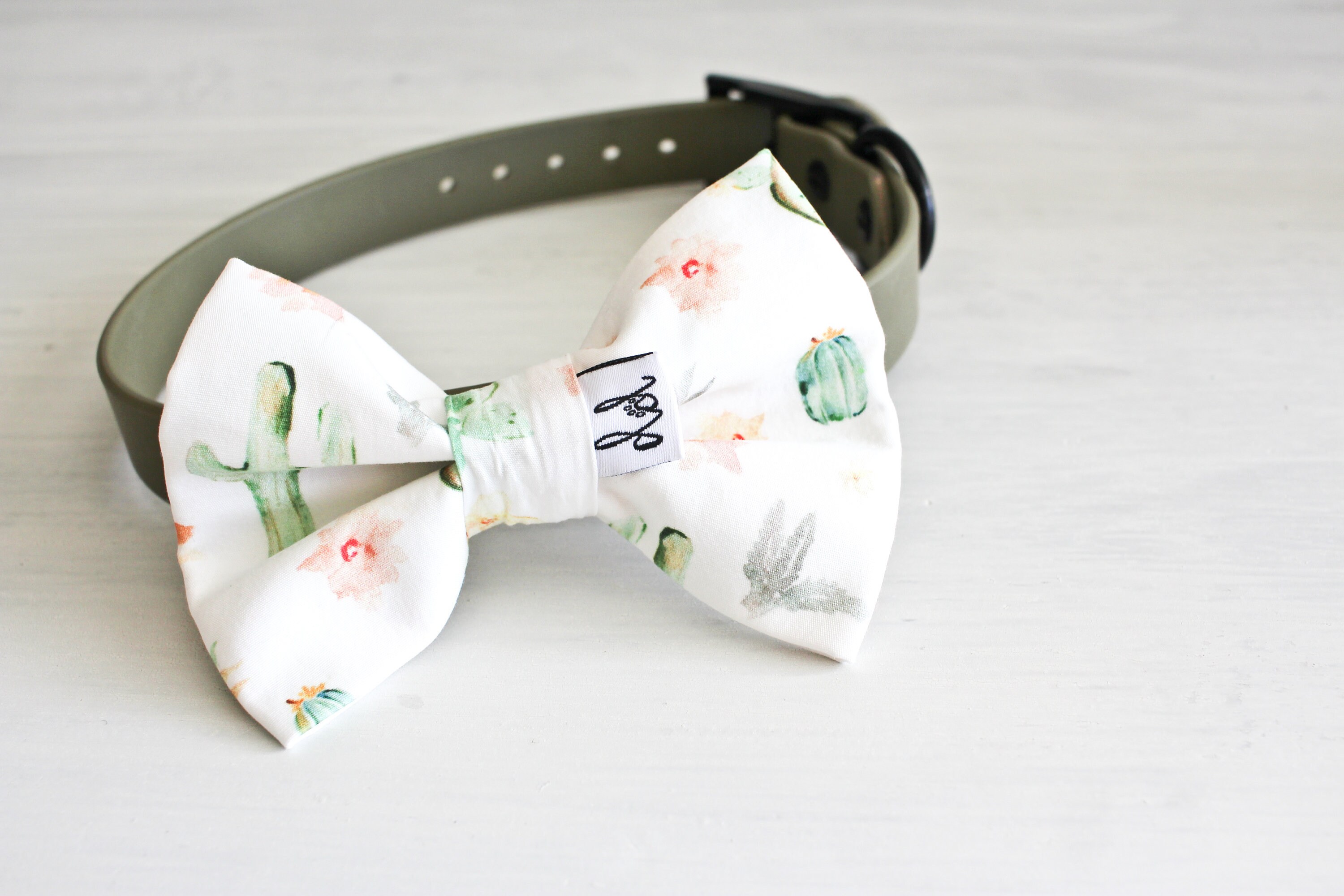 collar to wear with bow tie