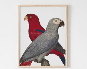 Parrot, Parrot Print,  Printable Wall Art, Digital Download, Printable Art, Digital Print, Printable Instant Download, Animal, Bird