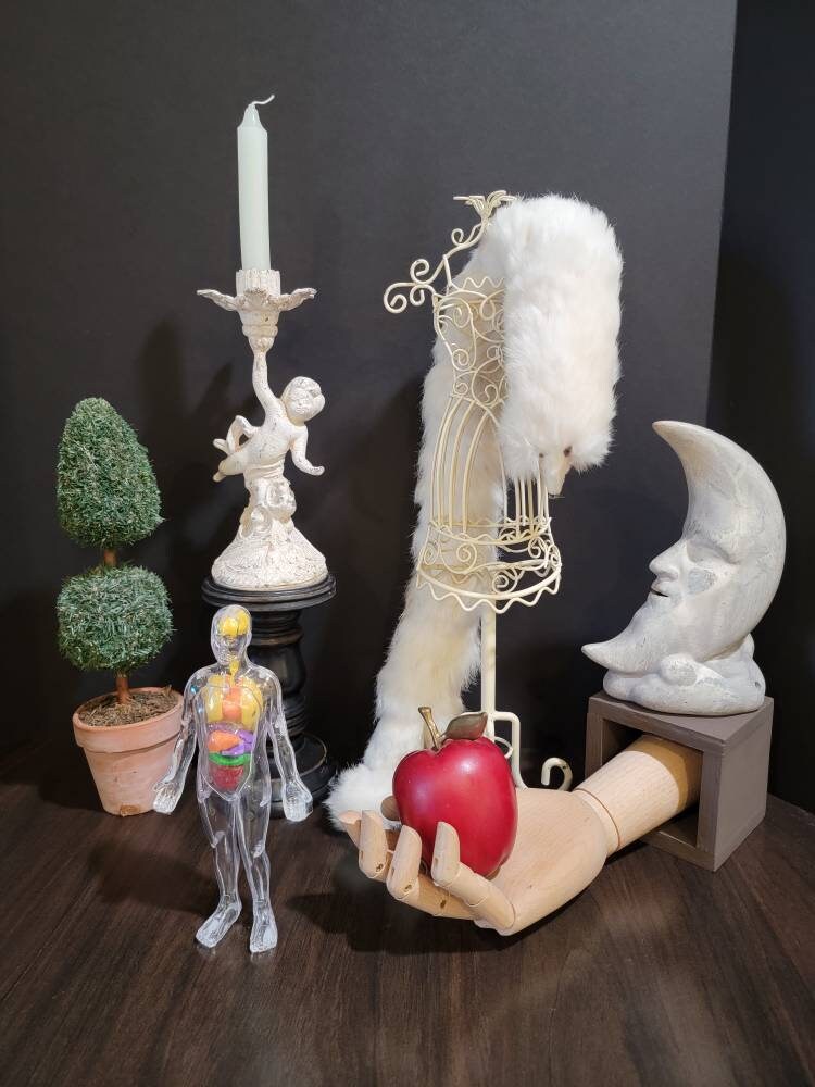 Clear Plastic Human Body Model Anatomy Invisible Man Etsy