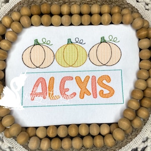 May include: A white onesie with three embroidered pumpkins and the name "ALEXIS" in a colorful font.