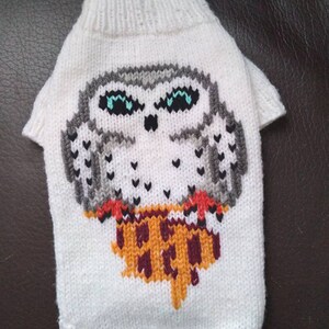 Peut inclure: Pull-over en tricot blanc pour chien avec un motif de hibou gris et blanc et un motif brun et orange en dessous du hibou.