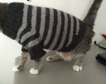 Pull pour chat sphynx ou petit chien