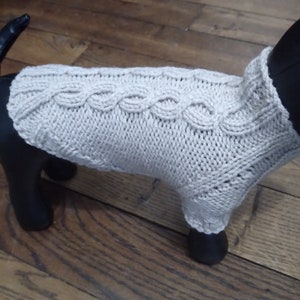 Puede incluir: Un suéter de punto beige para perro con un patrón de punto de cable.