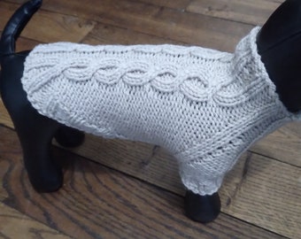 Pull torsades pour petit chien