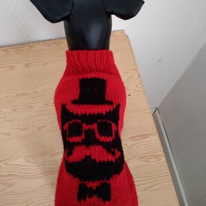 Pode incluir: Camisola de malha vermelha para cão com um gráfico preto e branco de um homem com bigode, óculos e chapéu de coco.