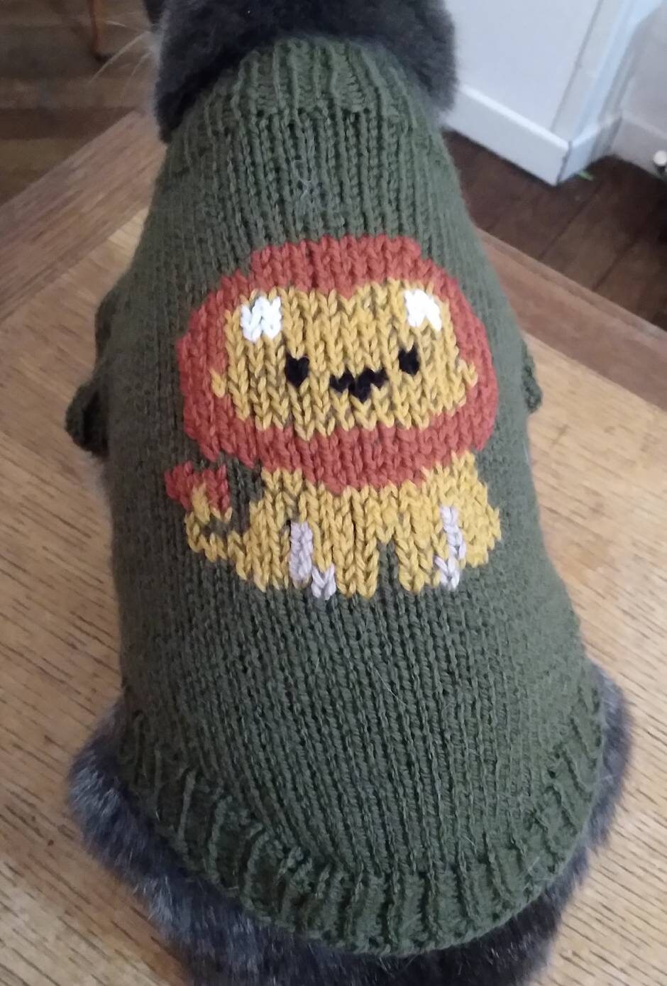 Pull Petit Chien ou Chat